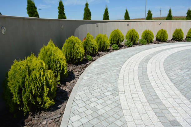 Best Best Driveway Pavers  in Gatesville, TX